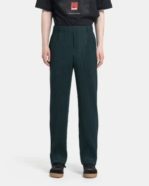 Colour Pleats Pants in Sage Green