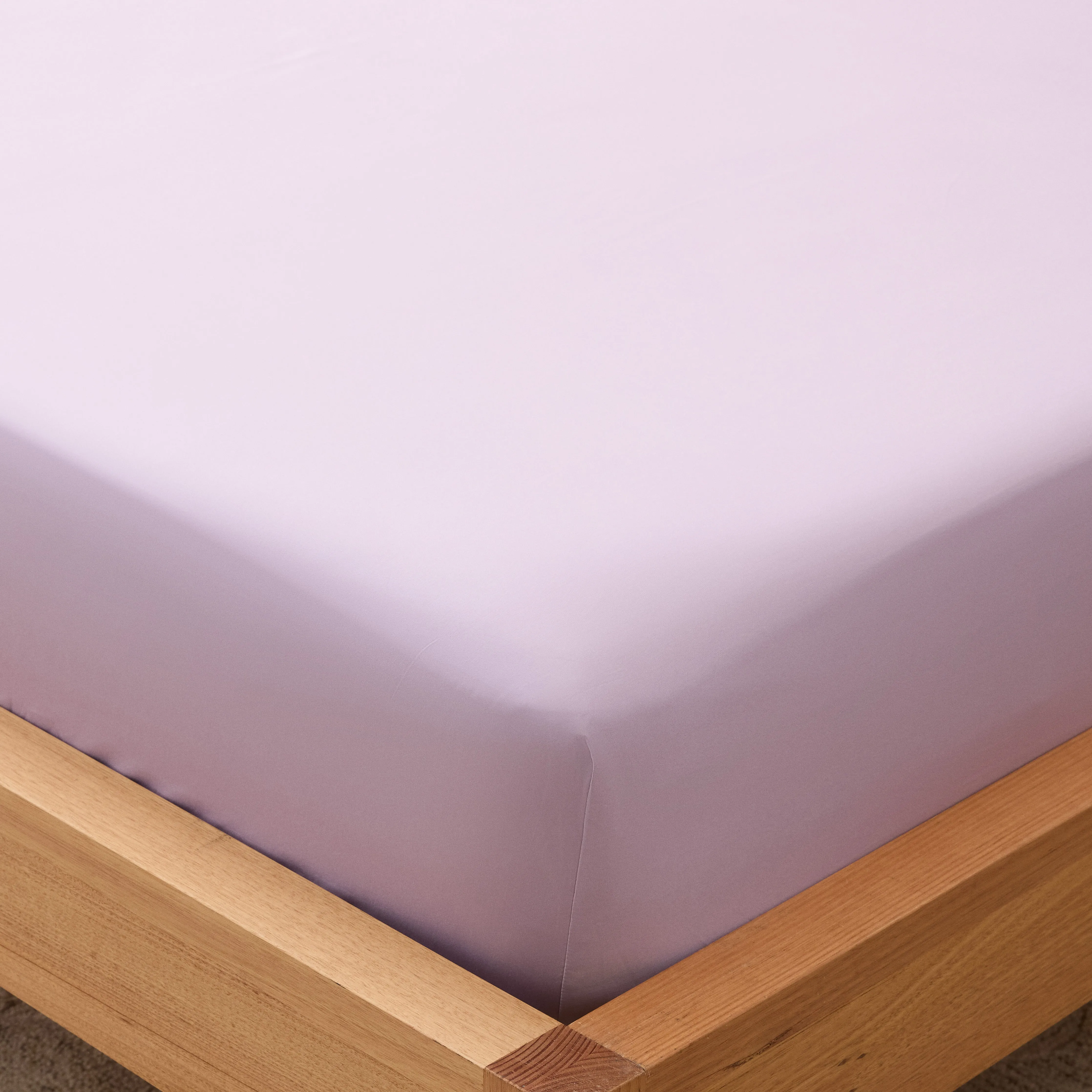 Eden Cotton - Lilac Kids Bedding