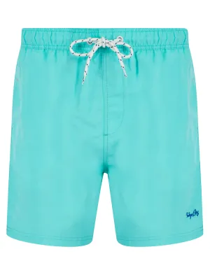 Namaste 3 Classic Swim Shorts in Blue Radiance - Tokyo Laundry