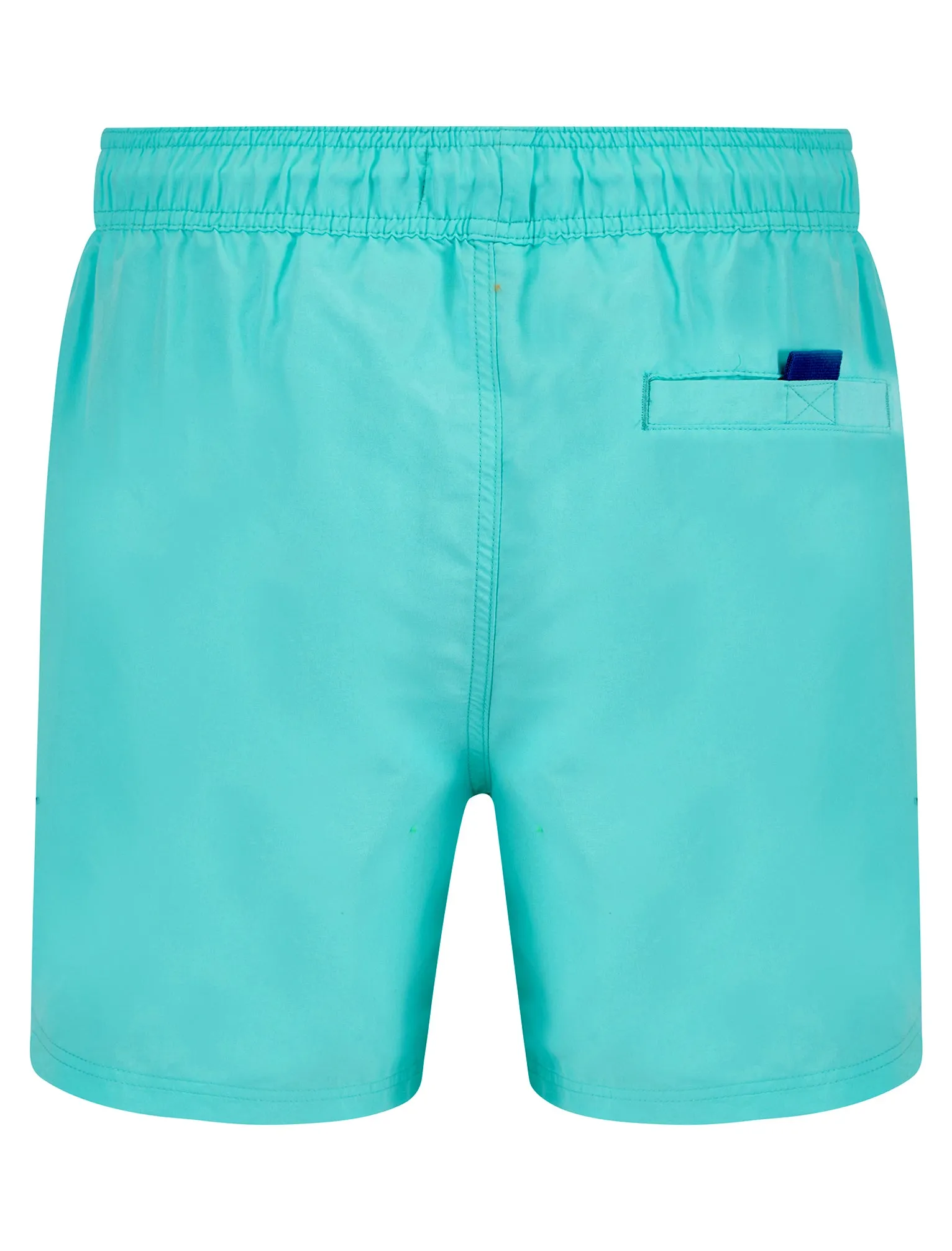 Namaste 3 Classic Swim Shorts in Blue Radiance - Tokyo Laundry